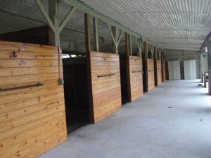 7stallstalls.JPG